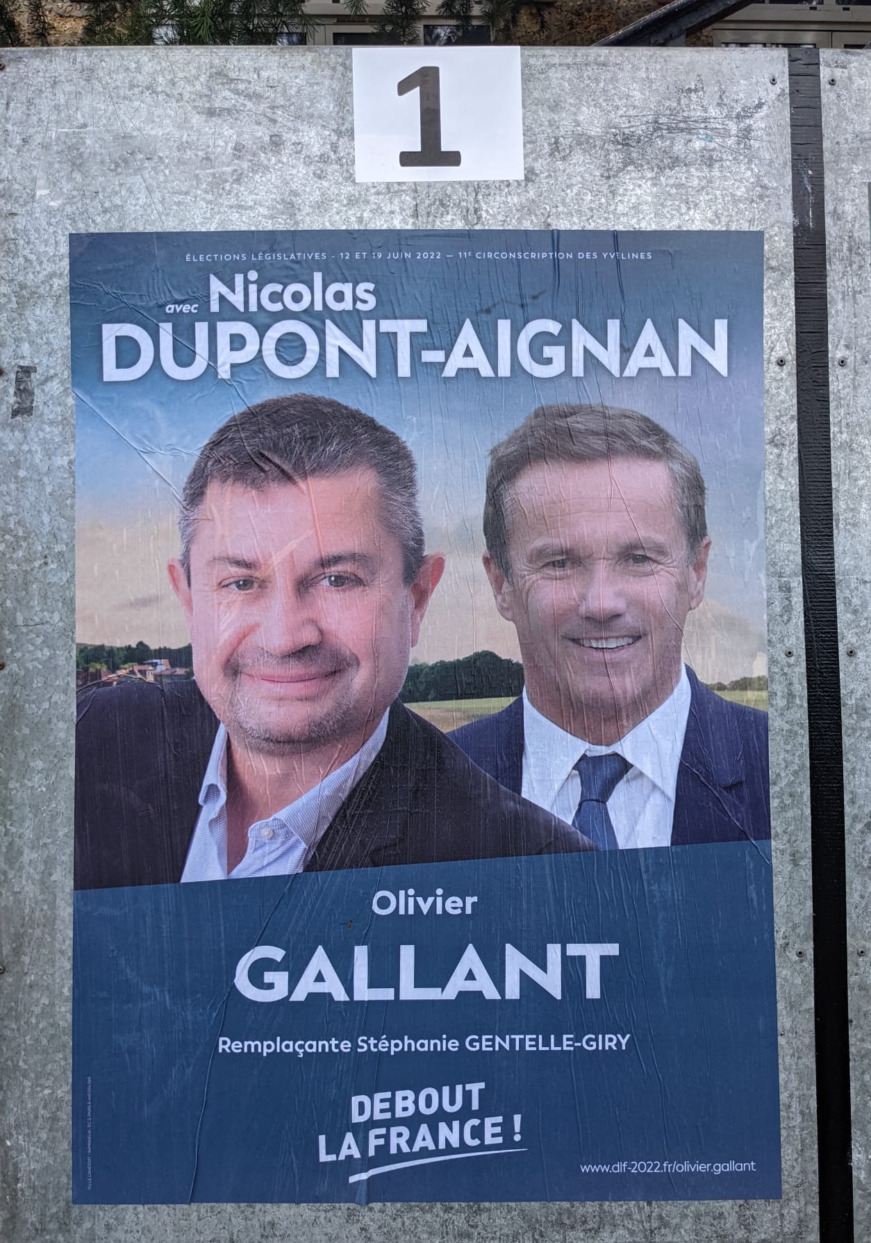 gallant