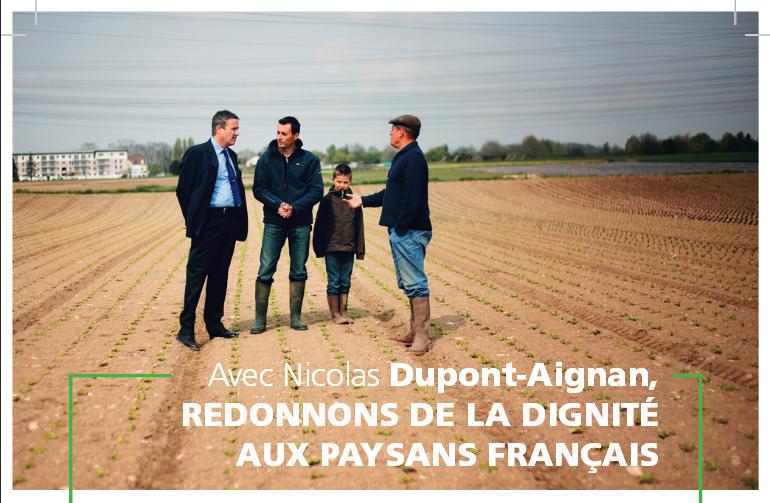 agriculture